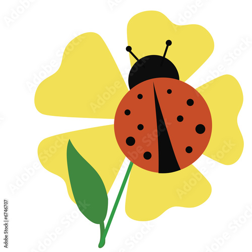 ladybug garden