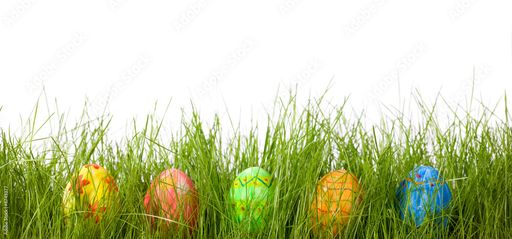 Fototapeta premium Easter eggs in fresh green grass