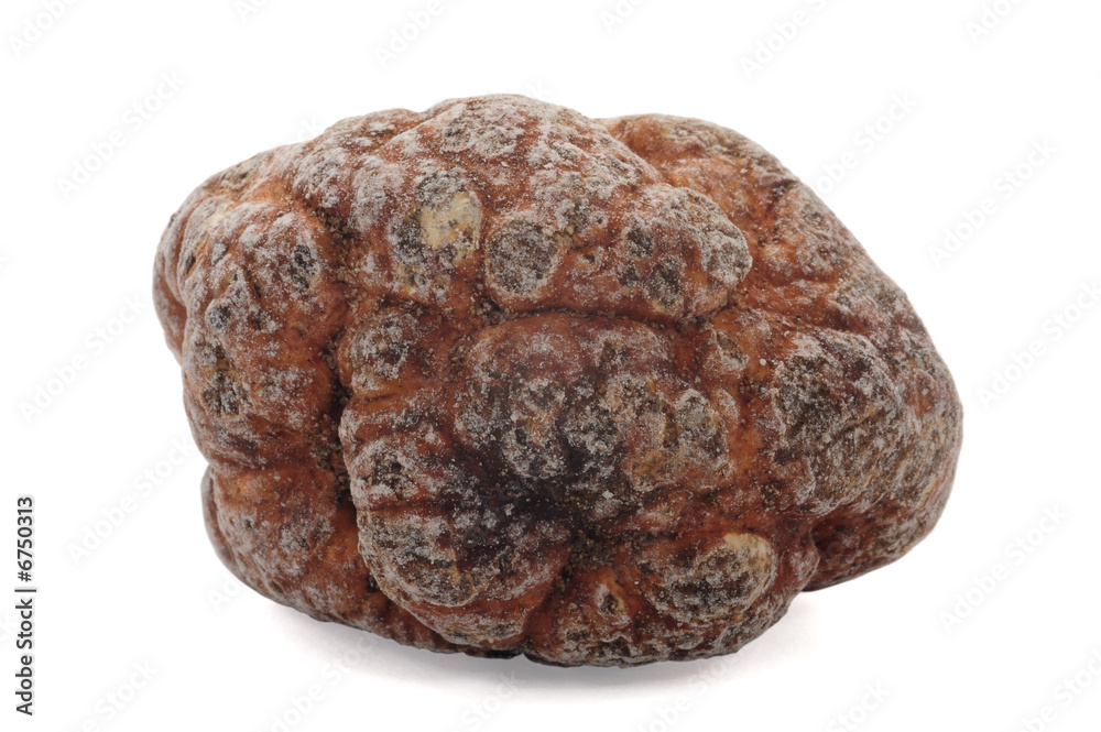Trüffel Trüffel