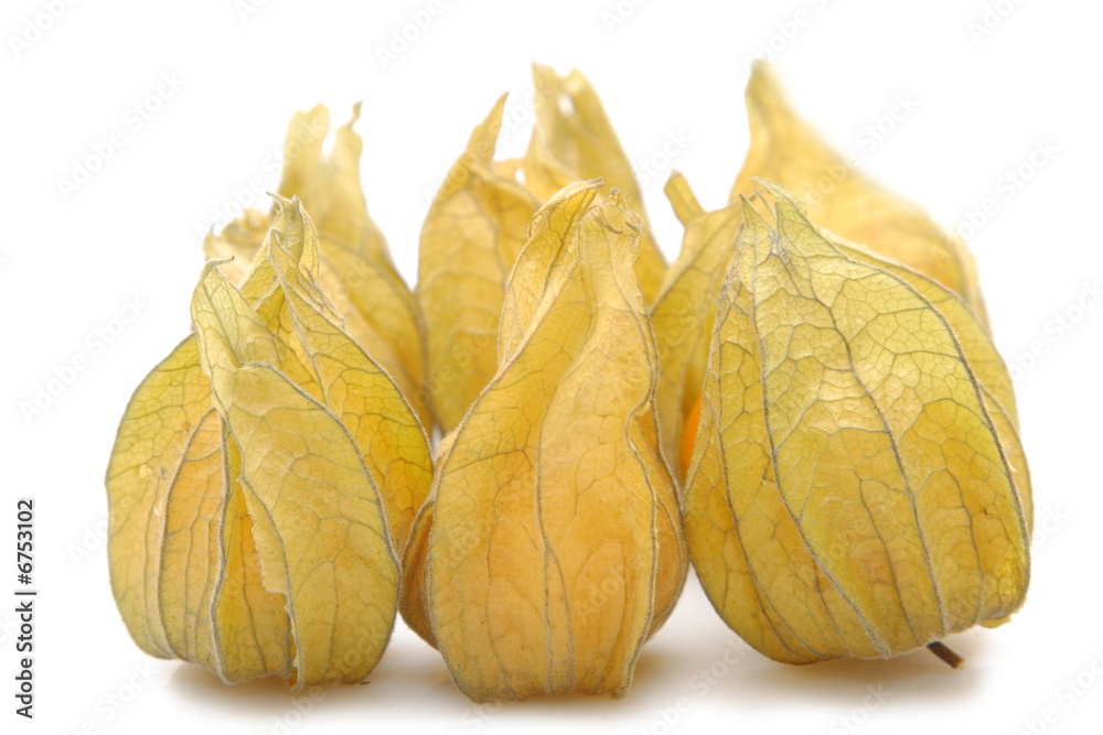 Physalis fruits on a white background