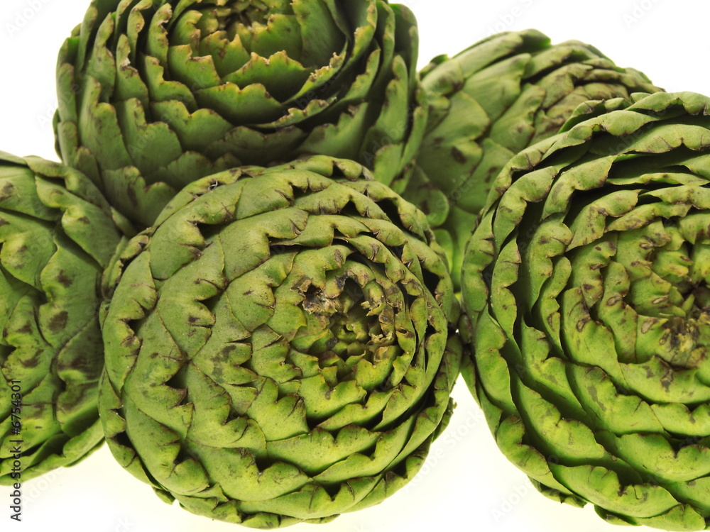 Fototapeta premium artischocken feinsten gemüse mit distelknospen 