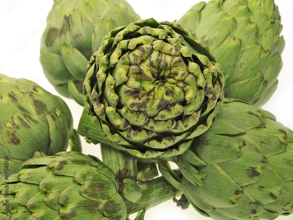 Fototapeta premium artischocken