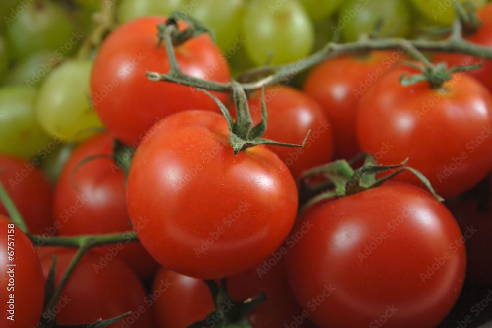 Tomatos in bunch