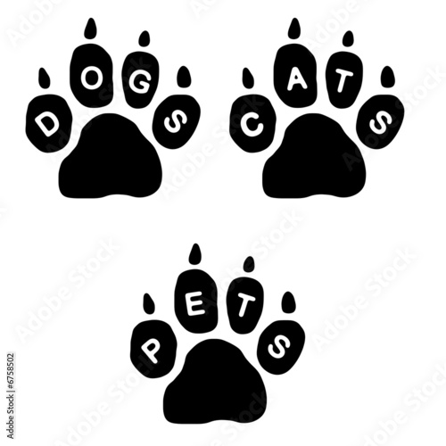Paws & Text