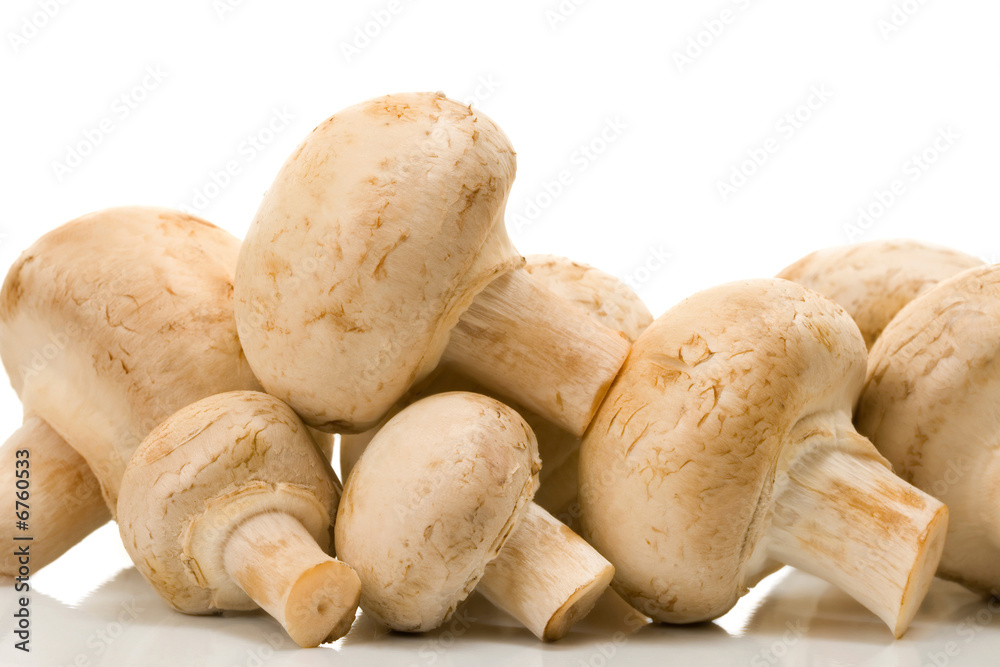 mushroom mushroom