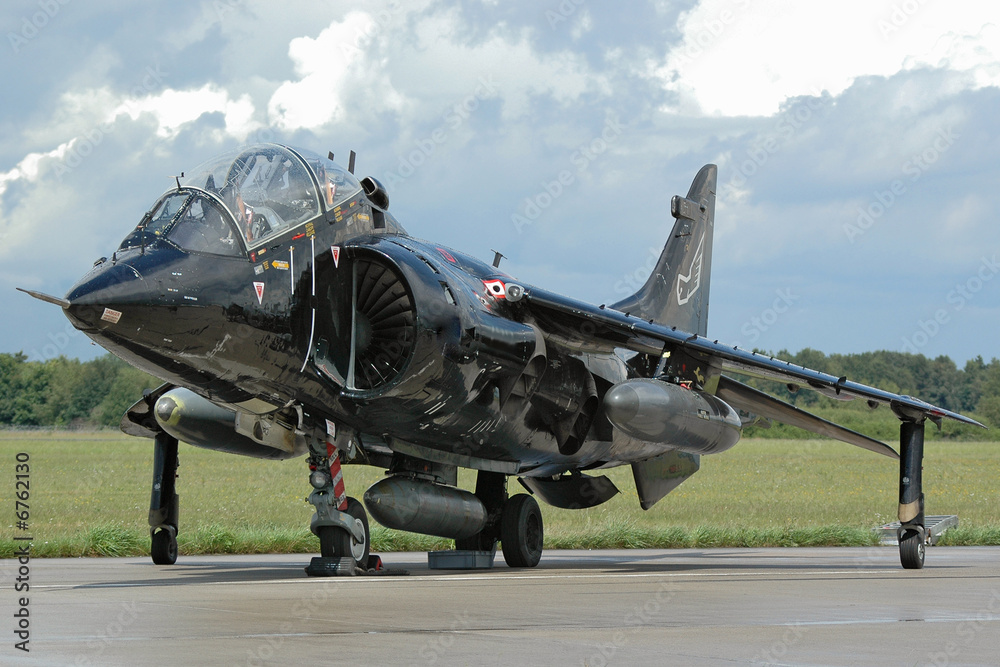 Sea Harrier - obrazy, fototapety, plakaty 