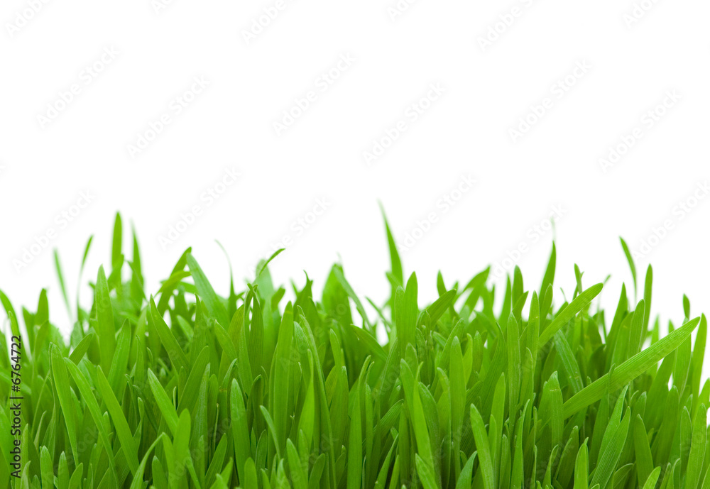 Green glass isolated on the white background Green glass isolated on the white background
