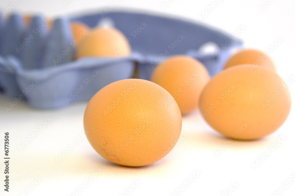 Boite d'oeufs