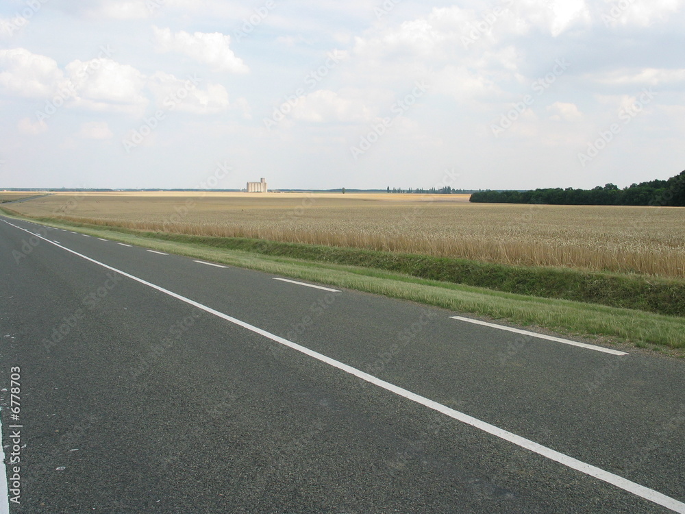 campo di grano lungo una strada