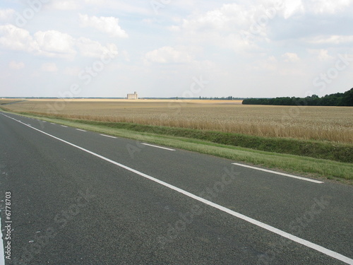 campo di grano lungo una strada