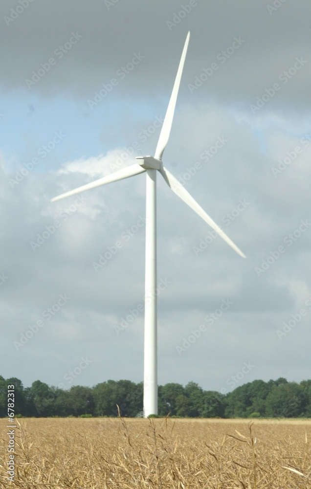Fototapeta premium éolienne 12