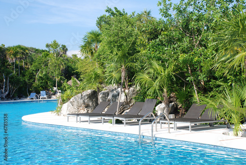 Pool with blue water surrounded by tropical plants