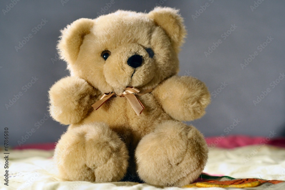 Obraz premium Peluche ourson