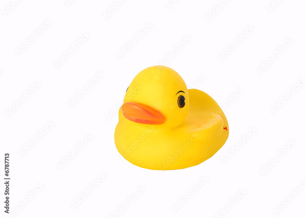 rubber duck