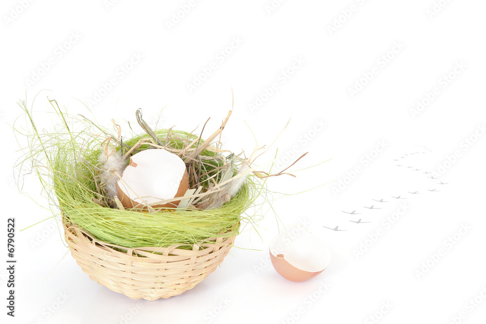 Obraz premium Empty egg shell in wicker basket