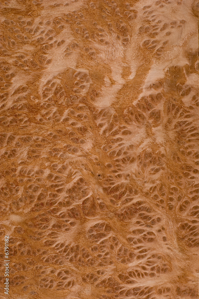 wood original texture wood original texture