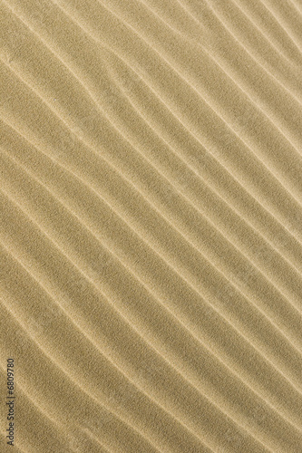 sable © Papirazzi