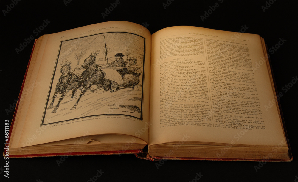 Obraz premium Goethe Buch