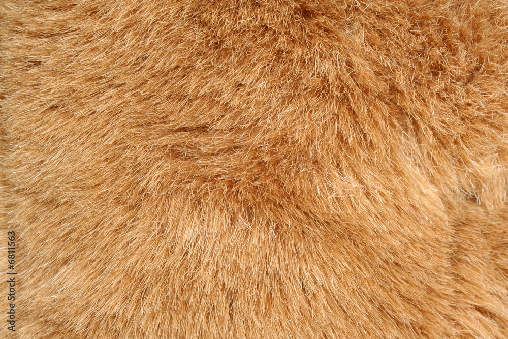 Brown fur background texture Brown fur background texture
