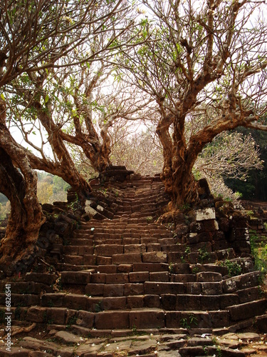 melancolie khmer, escalier du temple de champasak, wat phu photo