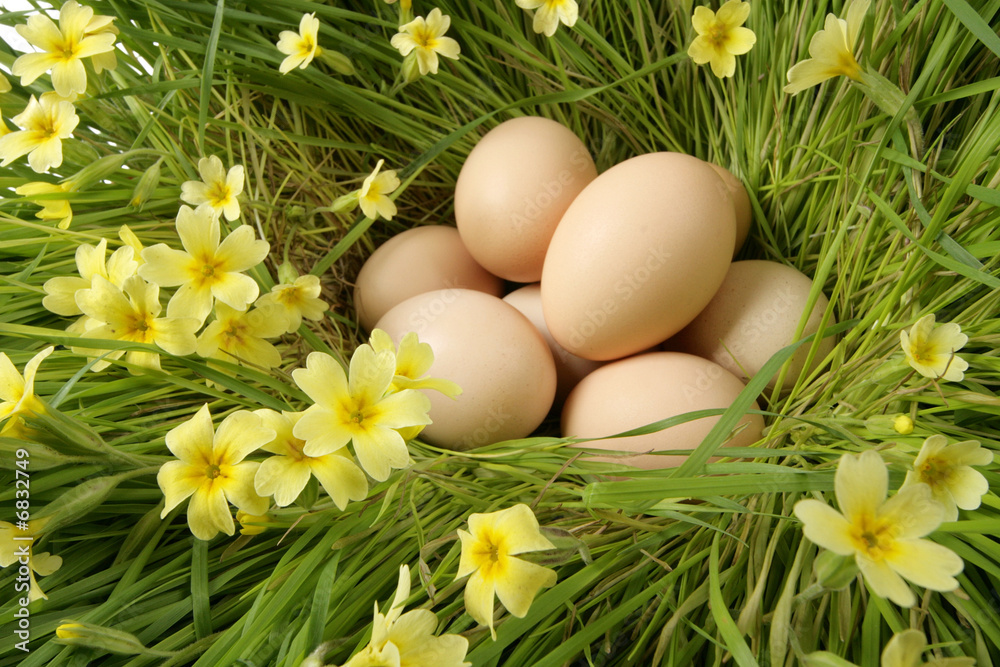easter eggs easter eggs