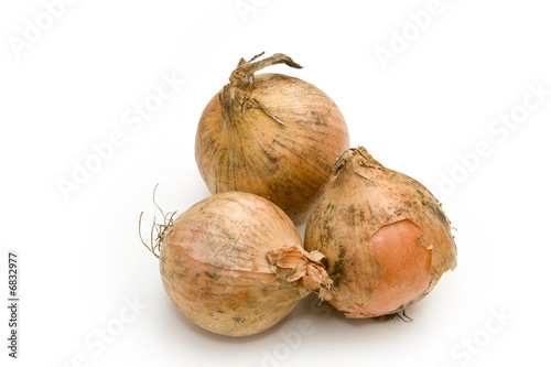 Three yellow onions isolated on white