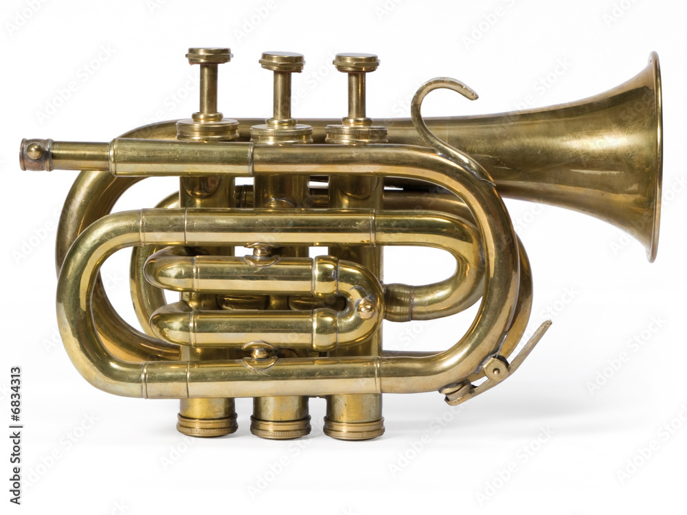 Obraz premium Trumpet