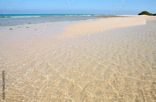Beach on Socotra island 