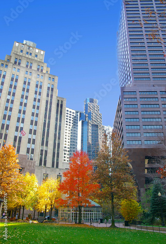 Autumn trees in the city, with blue sky