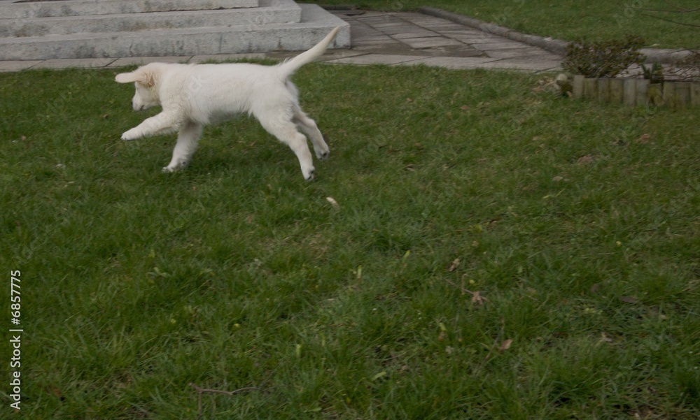 Obraz premium dustin 16