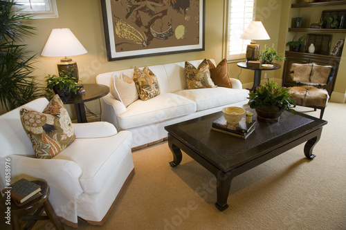 Luxury home living room.