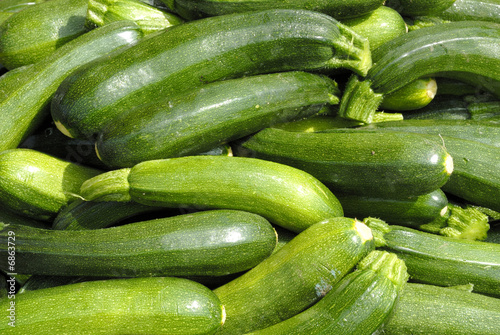 Courgettes at farmers market
