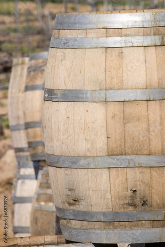 wine barrels at the vineyards