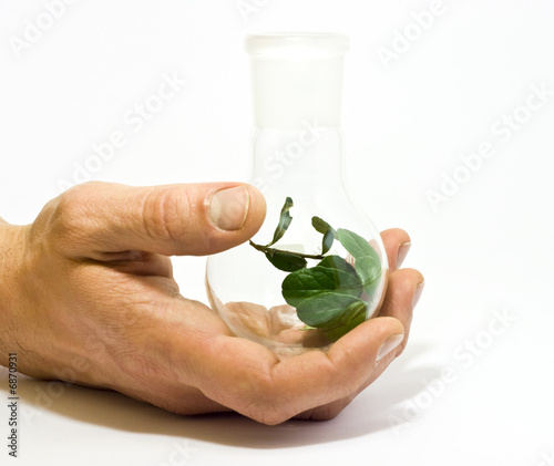 Green Chemistry