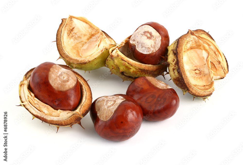 chestnuts on white chestnuts on white