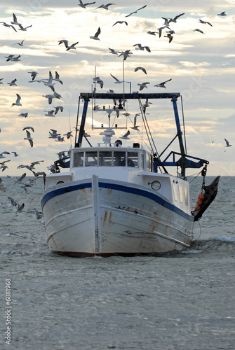 bateau de pêche port oiseau
