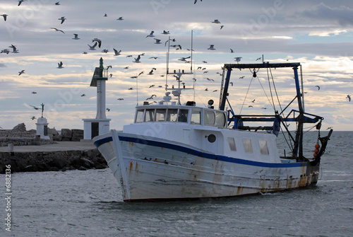 bateau de pêche port oiseau