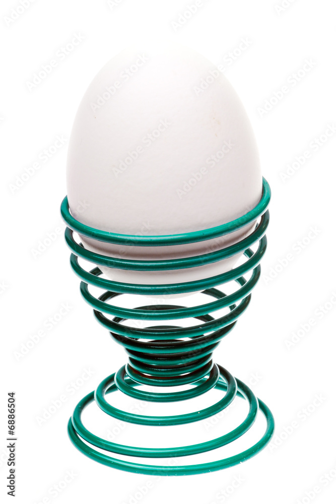 egg holder egg holder