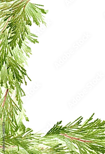 holiday greens