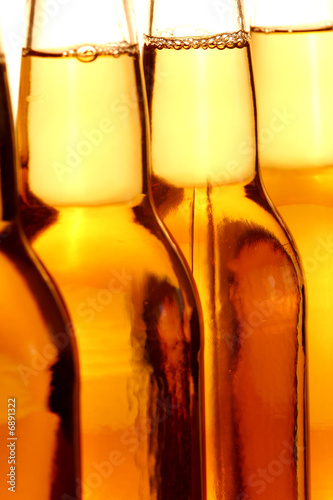 Beer Bottles photo