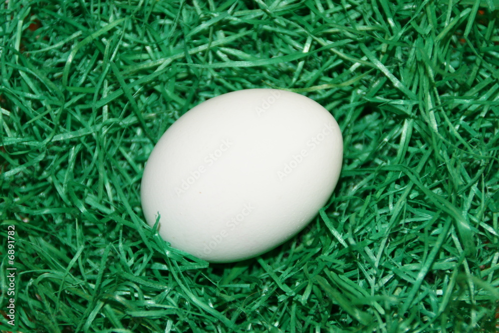 egg 2 egg 2