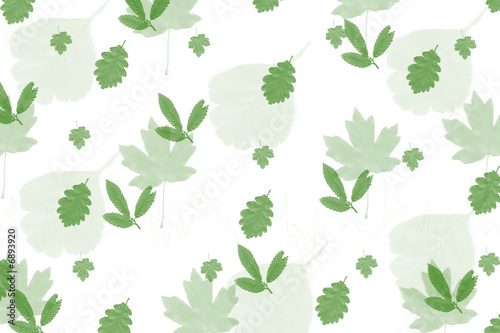 Leafy Green Design with White Background