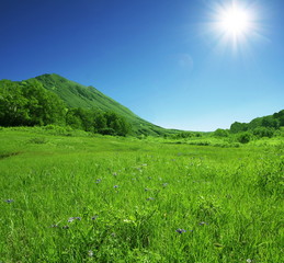 Fotobehang Heuvel Groene heuvels onder heldere lucht  © Galyna Andrushko