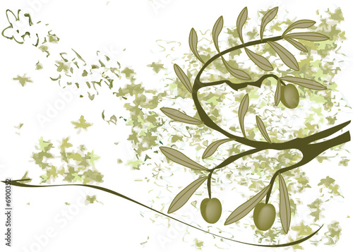 Olives on the branch vector background
