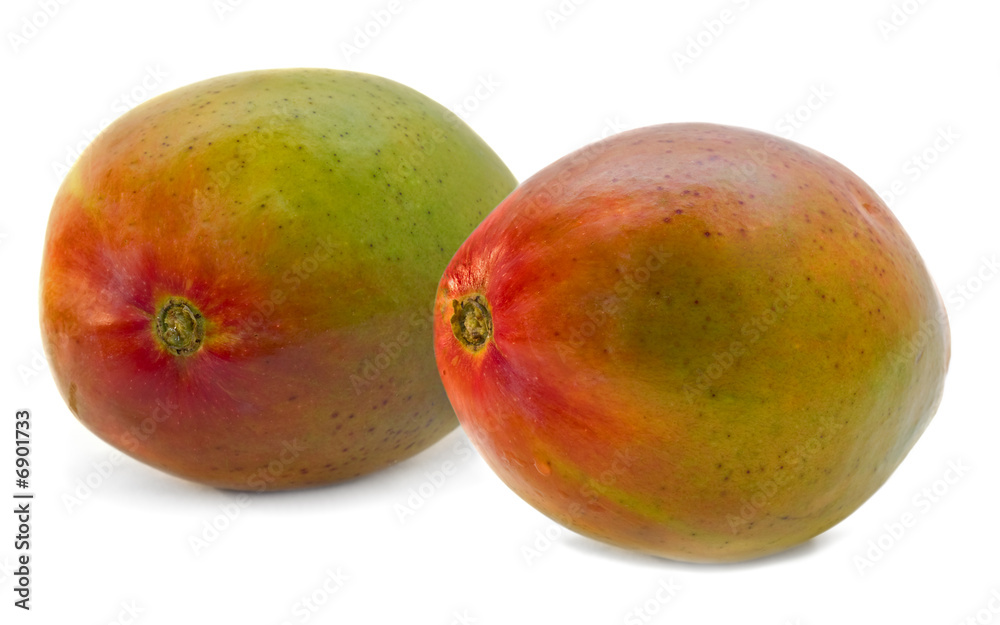 mango pair isolated mango pair isolated