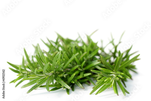 rosemary herbs on white, shallow depth of field