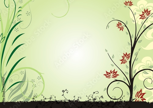 flores silvestres