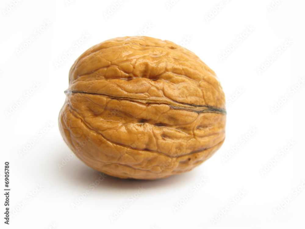 Walnut isolated on white background Walnut isolated on white background
