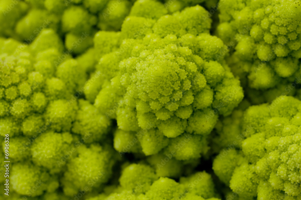 Romanesco Broccoli 6 Romanesco Broccoli 6