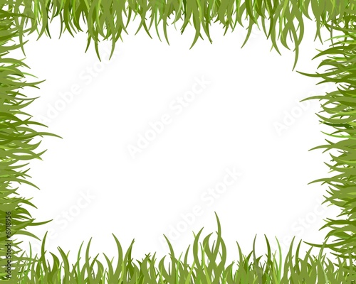 Wild grass frame
